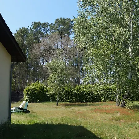 Authentic Country House - Vagues De Foret Dom wakacyjny Pontenx-les-Forges